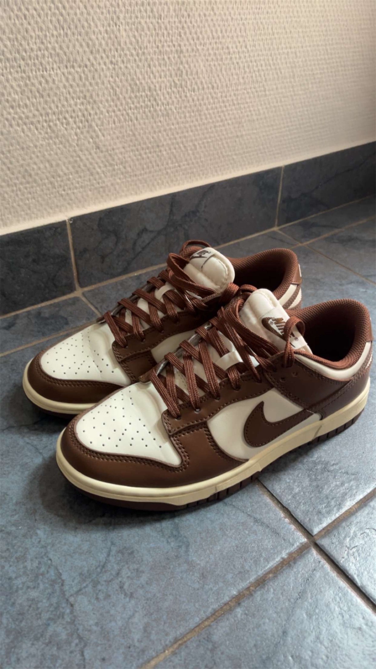Nike Dunk Low Cocao Wow Brown Sail 2023 photo review