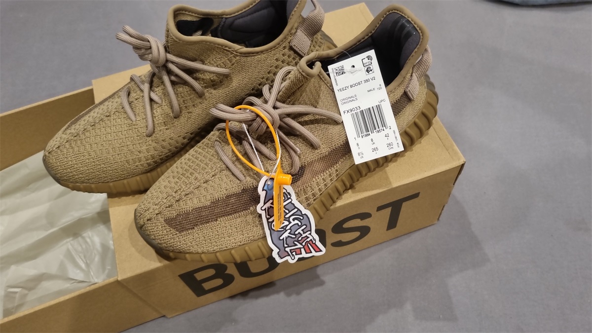 2020 Yeezy 350 V2 Earth (Ln5 A1) photo review