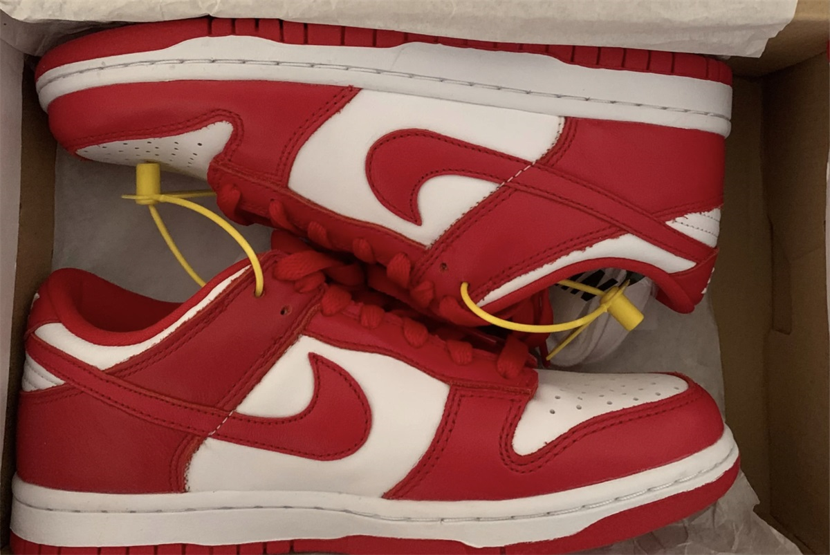 Nike SB Dunk Low University Red 2020(LN5 A1 Batch) photo review