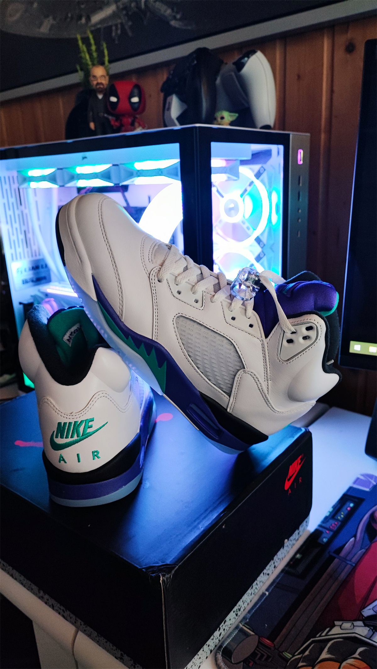 Air Jordan 5 Retro Grape 2025 (Ln5 A1) photo review