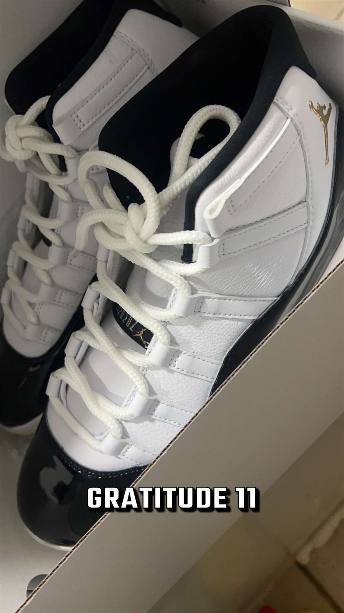 Air Jordan 11 DMP Gratitude 2023 (LN5 A1) photo review