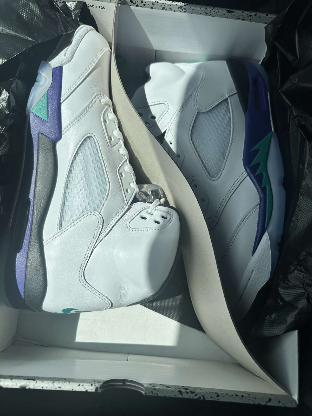 Air Jordan 5 Retro Grape 2025 (Ln5 A1) photo review