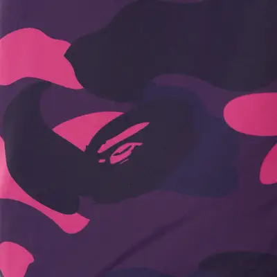 BAPE CAMO BEACH SHORTS