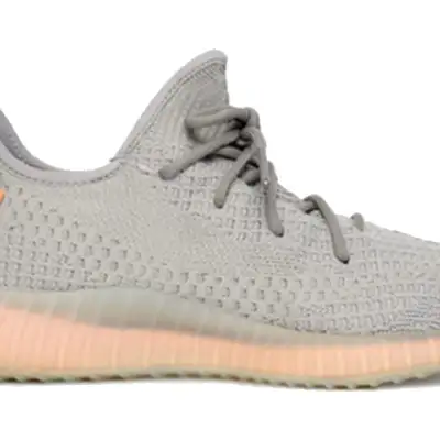 Adidas Yeezy Boost 350 V2 ‘True Form’