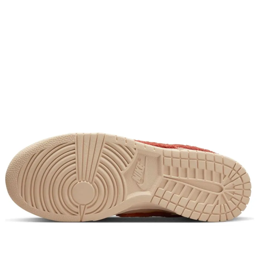 Nike Dunk Low ‘Terry Swoosh’