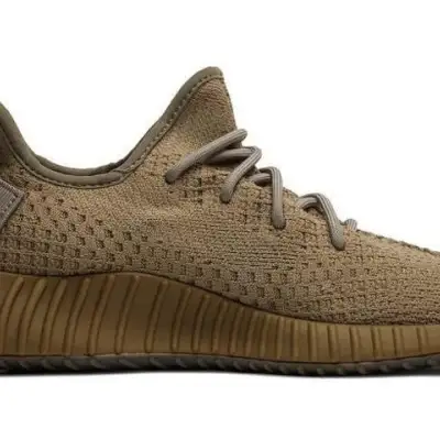 Adidas Yeezy Boost 350 V2 ‘Earth’