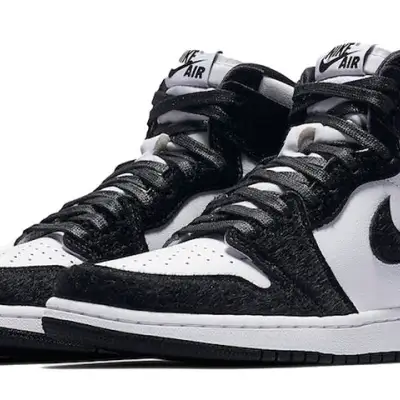 Air Jordan 1 Retro High OG ‘Twist’