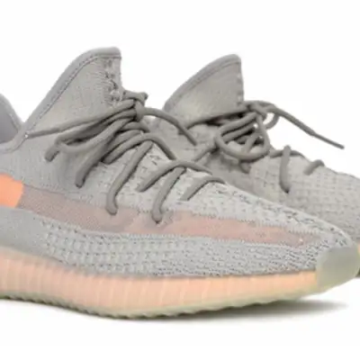 Adidas Yeezy Boost 350 V2 ‘True Form’
