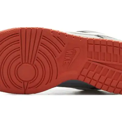 Nike x Jeff Staple SB Dunk Low Pro ‘Pigeon’