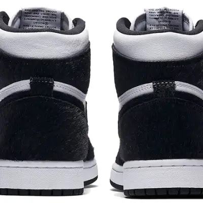 Air Jordan 1 Retro High OG ‘Twist’