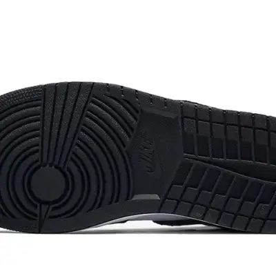 Air Jordan 1 Retro High OG ‘Twist’