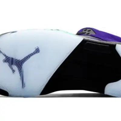 Air Jordan 5 Retro ‘Alternate Grape’