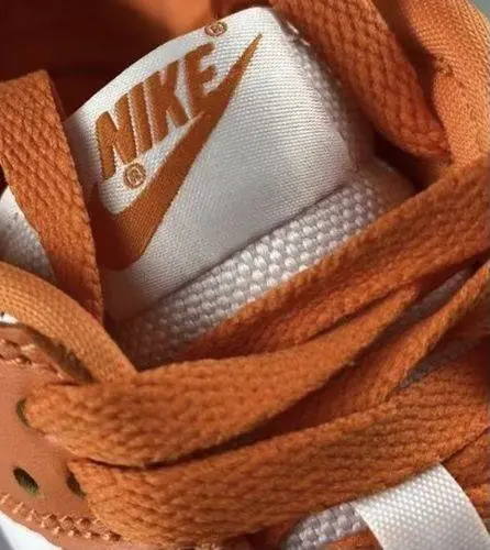 Nike Dunk Low Retro SP ‘Syracuse’ photo review