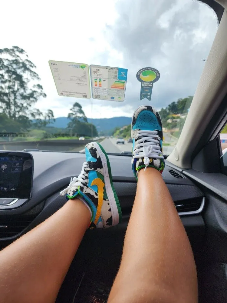 Nike x Ben & Jerry’s SB Dunk Low ‘Chunky Dunky’ photo review