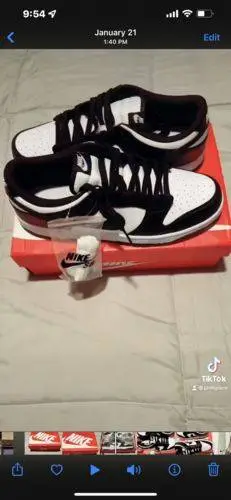 Nike Dunk Low ‘Panda Black White’ photo review